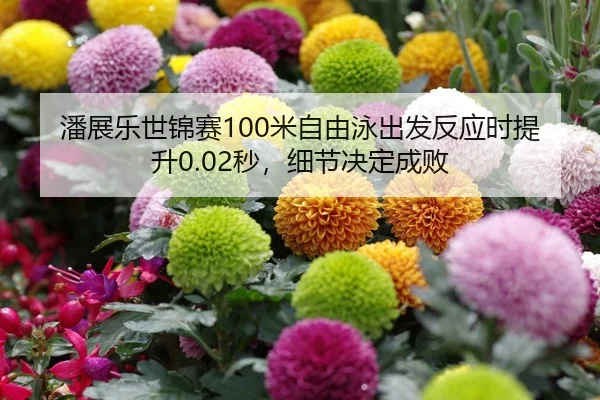 潘展乐世锦赛100米自由泳出发反应时提升0.02秒，细节决定成败