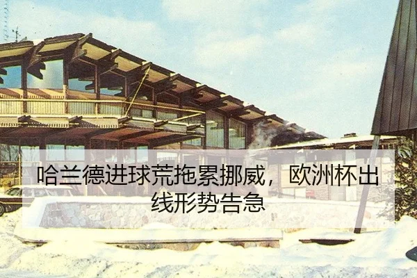 ha-lan-de-jin-qiu-huang-tuo-lei-nuo-wei-ou-zhou-bei-chu-xian-xing-shi-gao-ji-2-779.jpg