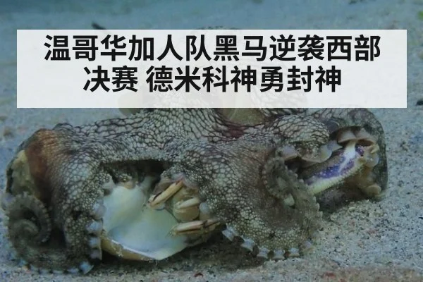 温哥华加人队黑马逆袭西部决赛 德米科神勇封神